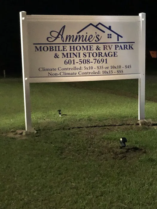 Ammie's Mobile Home ,RV Park & Mini Storage Picture 1