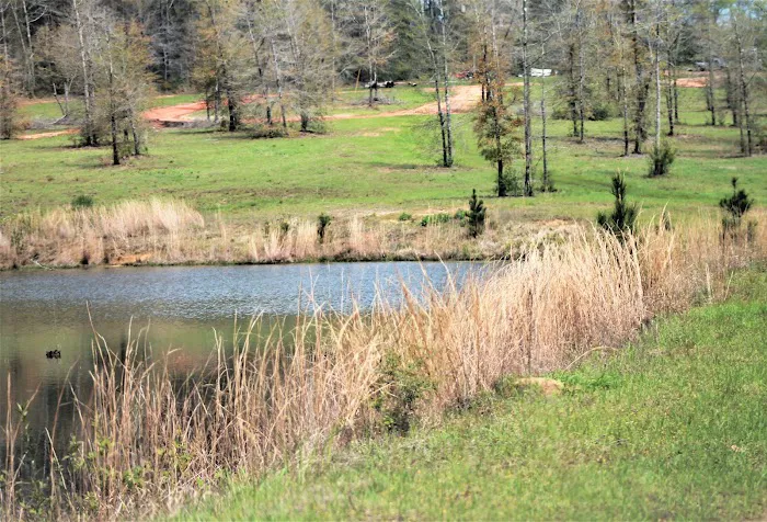 Y'all Come Back RV Picture 7