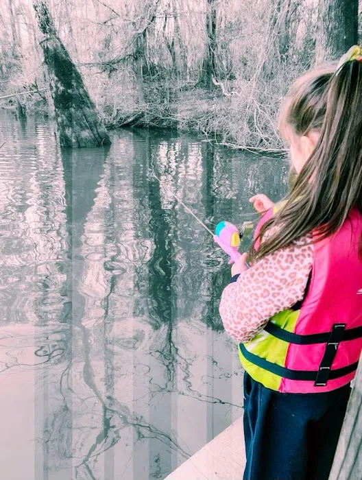 Y'all Come Back RV Picture 3