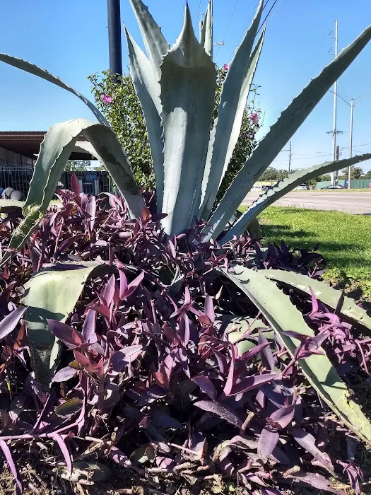 Parc D'orleans Inc RV PARK & CAMPGROUND Picture 10