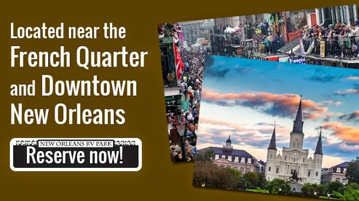 Three Oaks & a Pine RV Park Picture 2