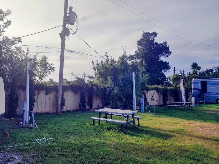 Three Oaks & a Pine RV Park Picture 4