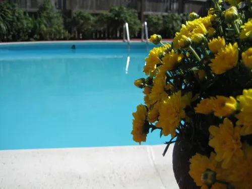 Riverboat Travel Park Picture 2