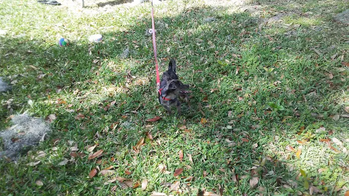 Pakenham Mobile Home Park Picture 5