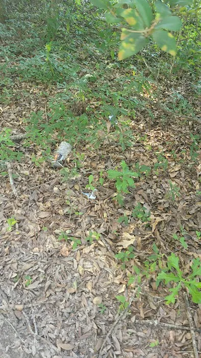 O'niel Mobile Home Park Picture 5