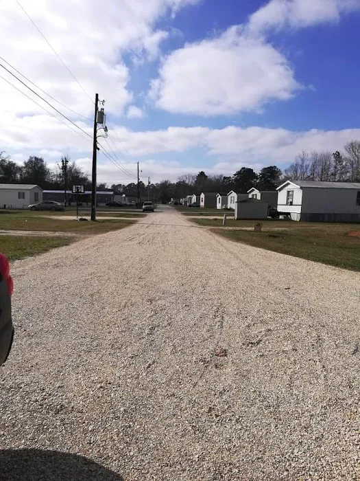 Cypress Creek Mobile Home Court Picture 2