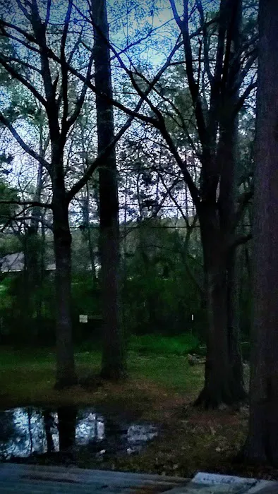 Pine Lake Mobile Home Court Picture 10