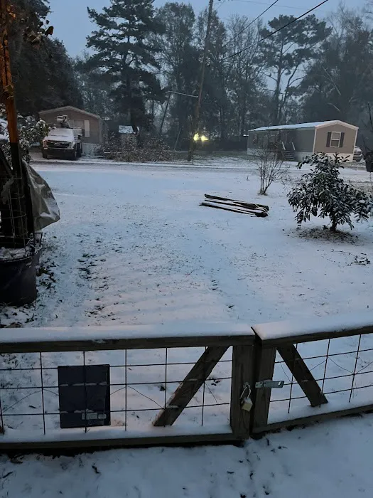 Pine Lake Mobile Home Court Picture 1