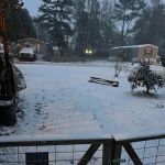 Pine Lake Mobile Home Court