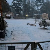 Pine Lake Mobile Home Court ico