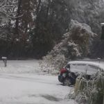 Hammond Mobile Home Park