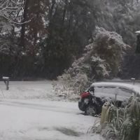 Hammond Mobile Home Park ico