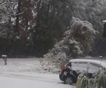 Hammond Mobile Home Park