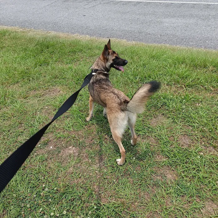 Fanz Mobile Home Estates Picture 9