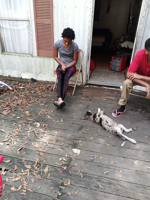 Tangi Mobile Home Park Picture 2