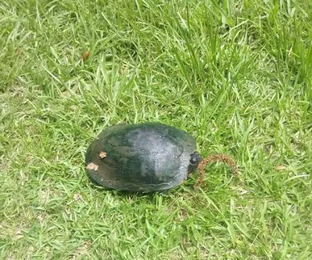 Landon's Mobile Home Park