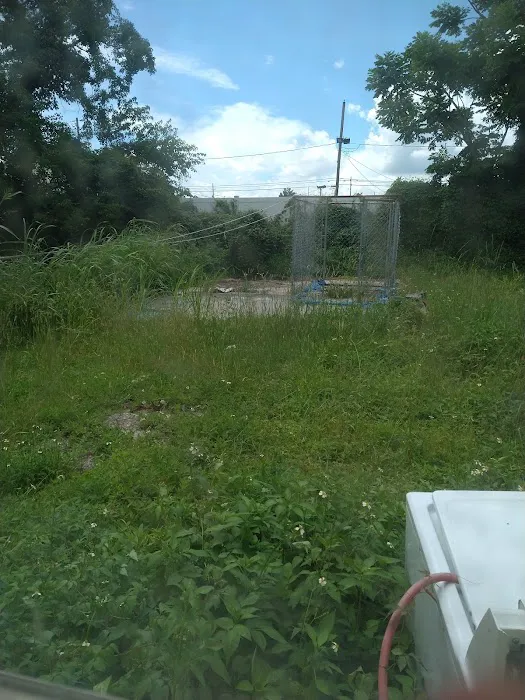 Justice Trailer Court Picture 2