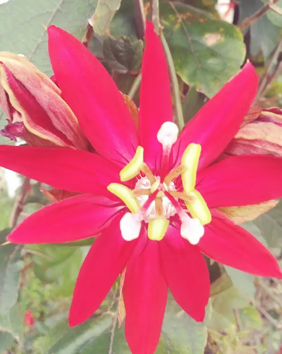 Andrus Mobile Home Park Picture 5