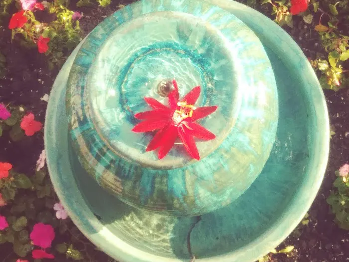 Andrus Mobile Home Park Picture 10