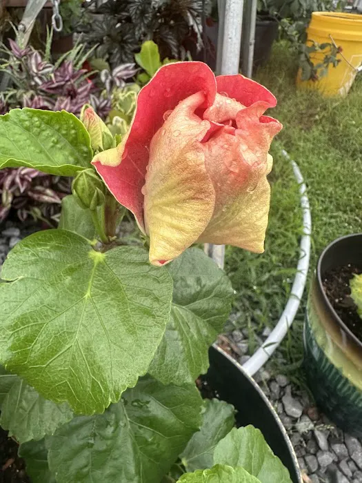 Hassel's RV & Trailer Park Picture 6