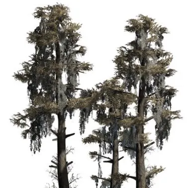 Bayou Barataria RV Park Picture 6