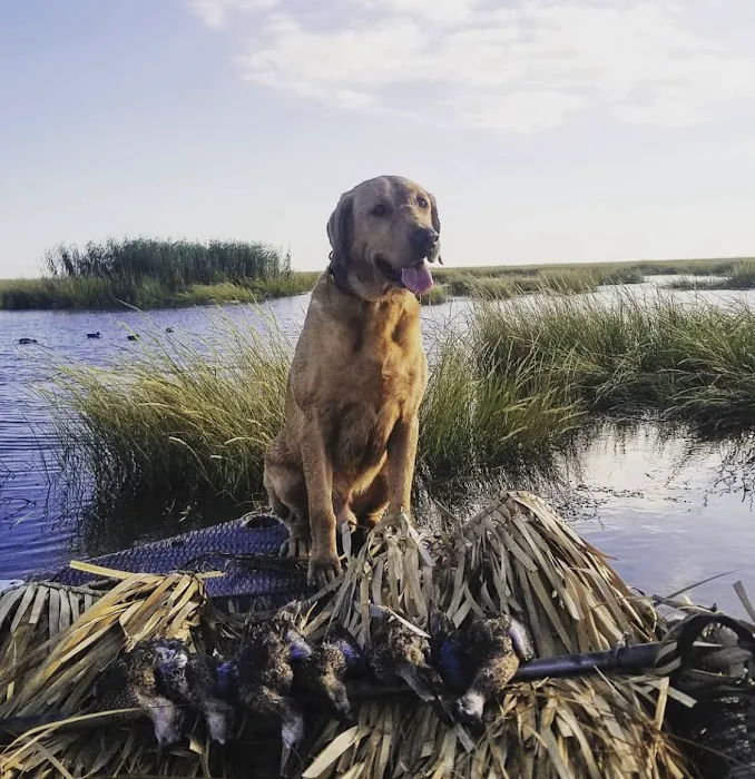 I'm on Vacation - Lodge + RV Retreat Picture 9