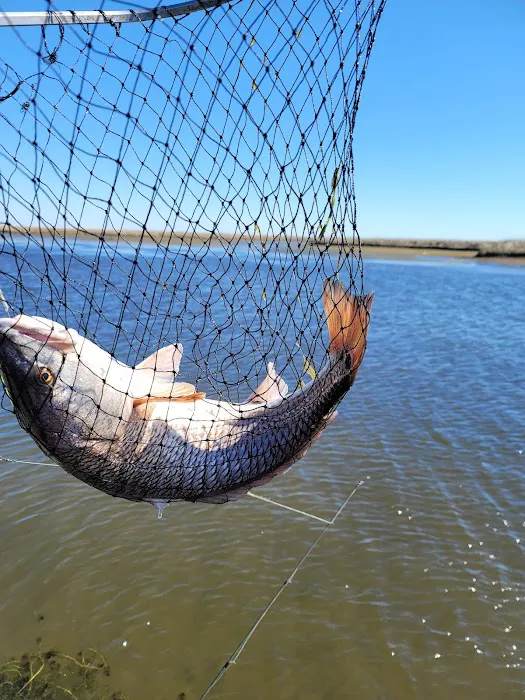 I'm on Vacation - Lodge + RV Retreat Picture 10