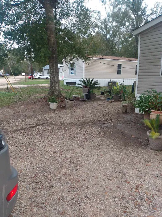 Bankston's Mobile Home Park Picture 3