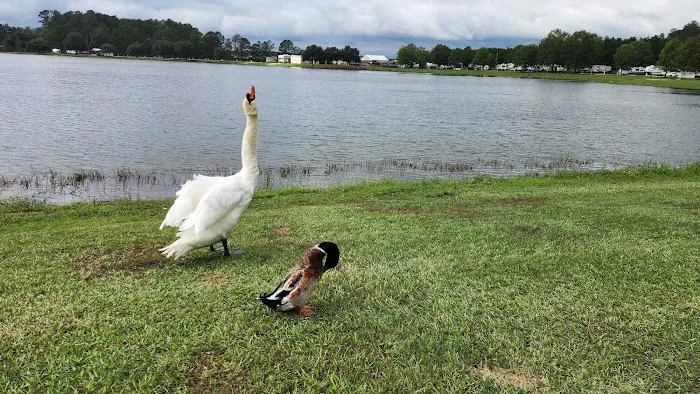 Lakeside RV Resort by Rjourney Picture 4