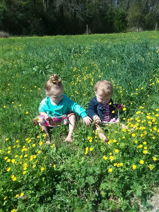 Livingston Estates Mobile Home Picture 1