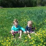 Livingston Estates Mobile Home