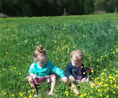 Livingston Estates Mobile Home