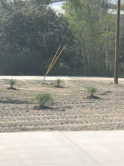 Nelson RV Park Picture 7