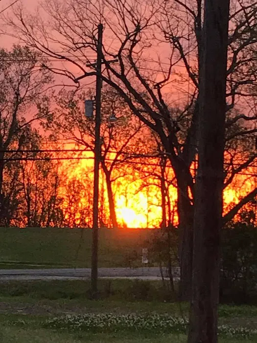 Hanson RV Park Picture 4