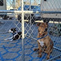 Cypress Land RV Park ico