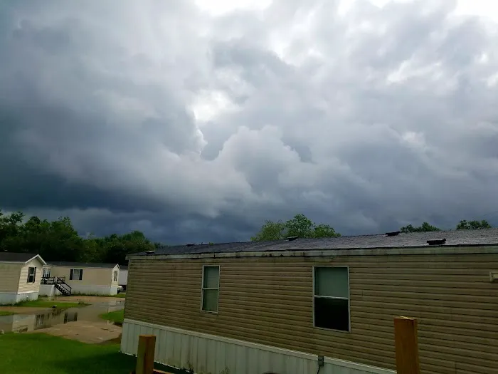 Oak Forest Estates Picture 4