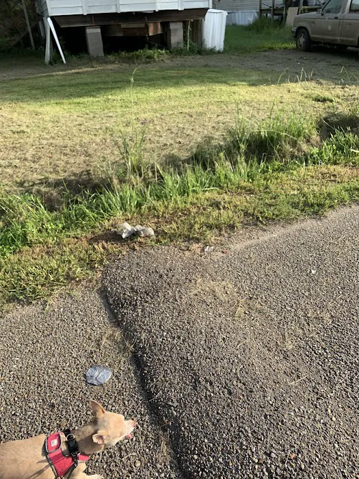 Oak Forest Estates Picture 7