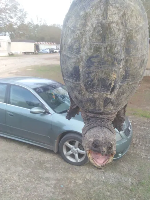 Denham Springs Mobile Home Park Picture 6