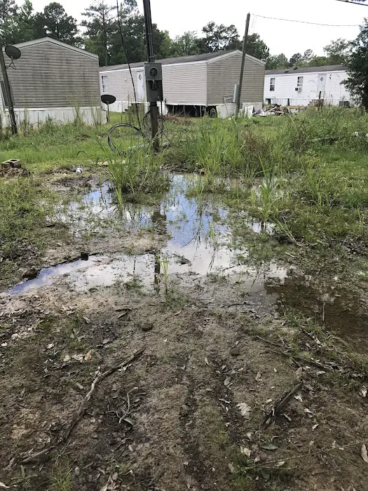 Denham Springs Mobile Home Park Picture 4