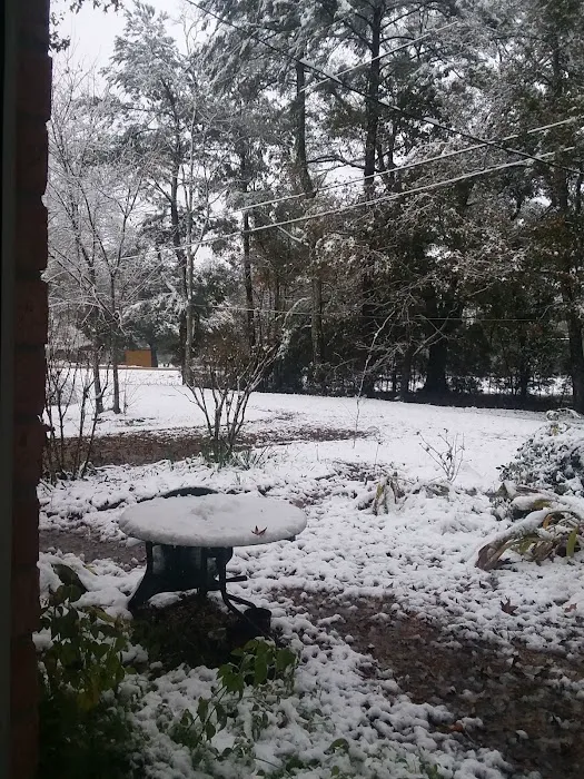 Seven Oaks RV Park Picture 5