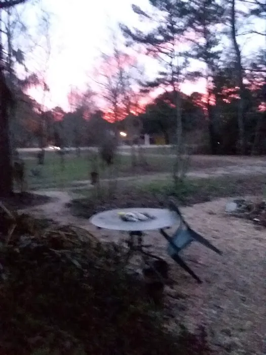 Seven Oaks RV Park Picture 3