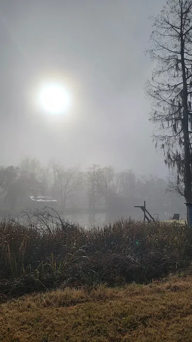 Amite river RV park Picture 4