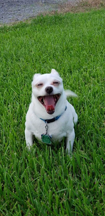 Colonial RV Park Picture 4