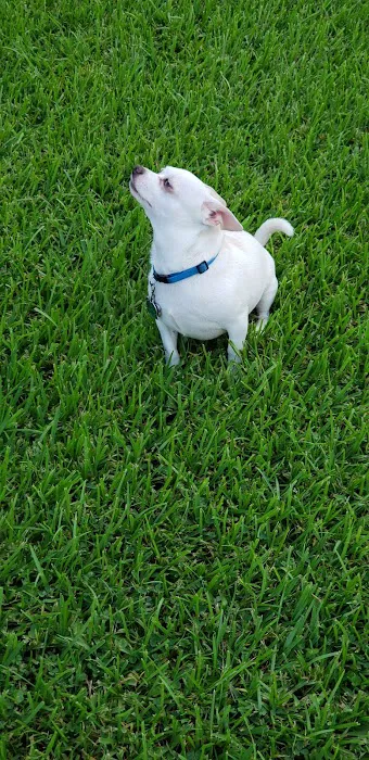 Colonial RV Park Picture 2