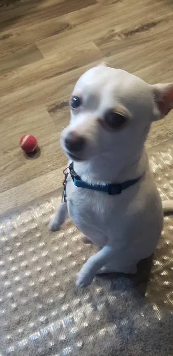 Colonial RV Park Picture 7