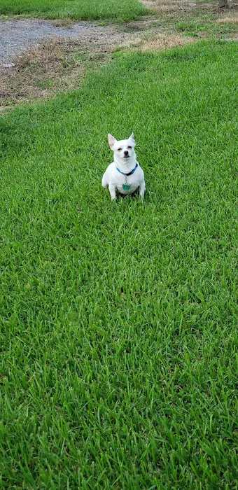 Colonial RV Park Picture 8