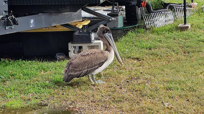 Vanacor’s RV Campground & Apartments Picture 5