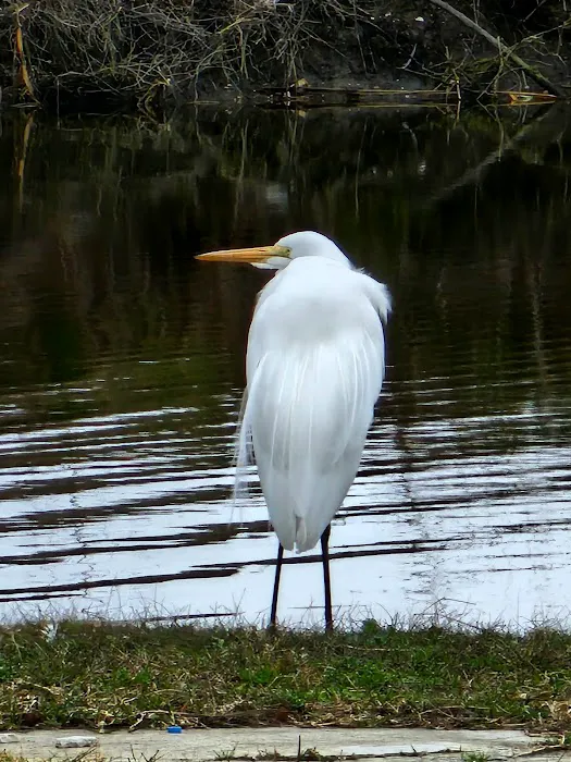 Vanacor’s RV Campground & Apartments Picture 8