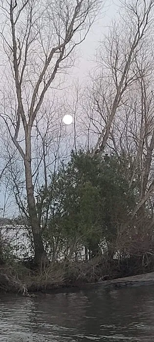 Bayou Oasis RV Park Picture 4