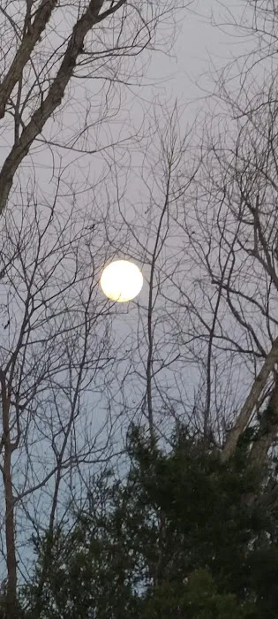 Bayou Oasis RV Park Picture 6